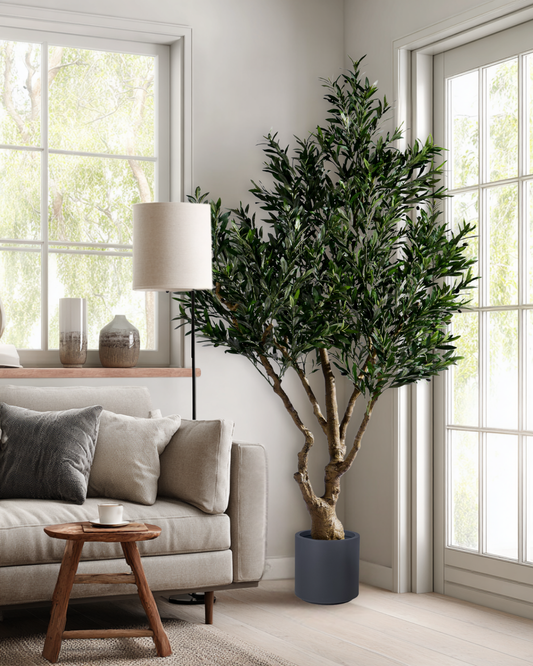 The Trendiest Tree of 2025: The Tuscan Olive