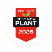 Best New Plant 2026