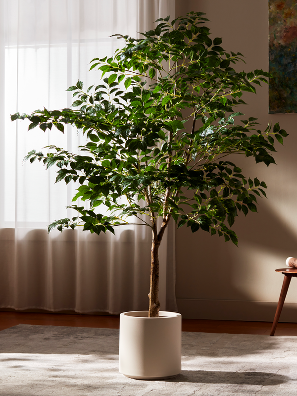 Faux Tree Roots Shop Faux Trees That Look Real | Rootless Plants