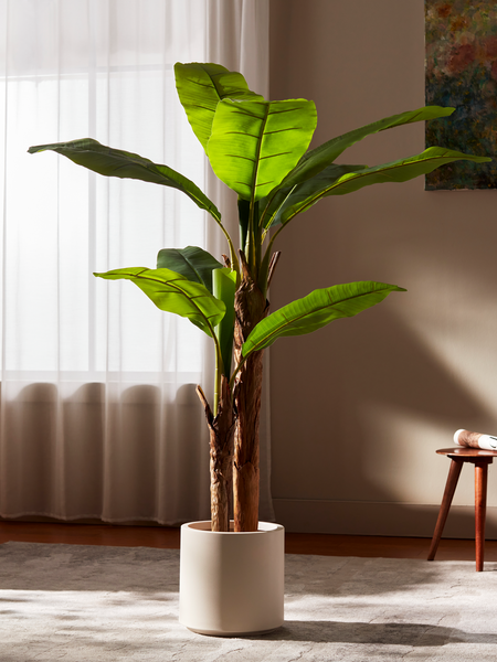 indoor plants banana tree Havana Banana - Faux Banana Leaf Tree