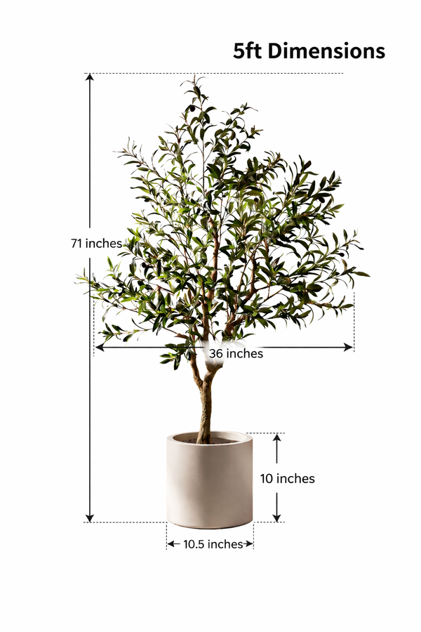 Tuscan Olive