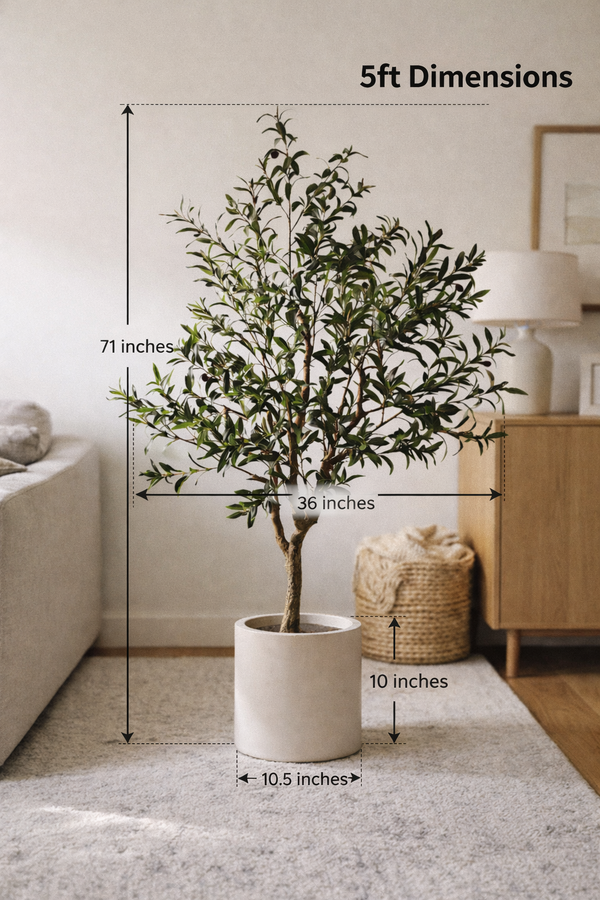 Tuscan Olive