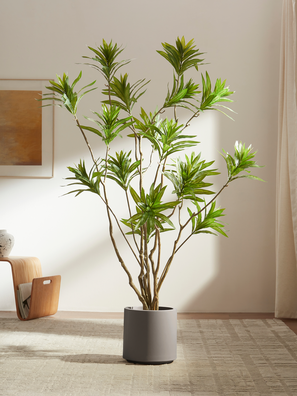 Reflexa Elegance