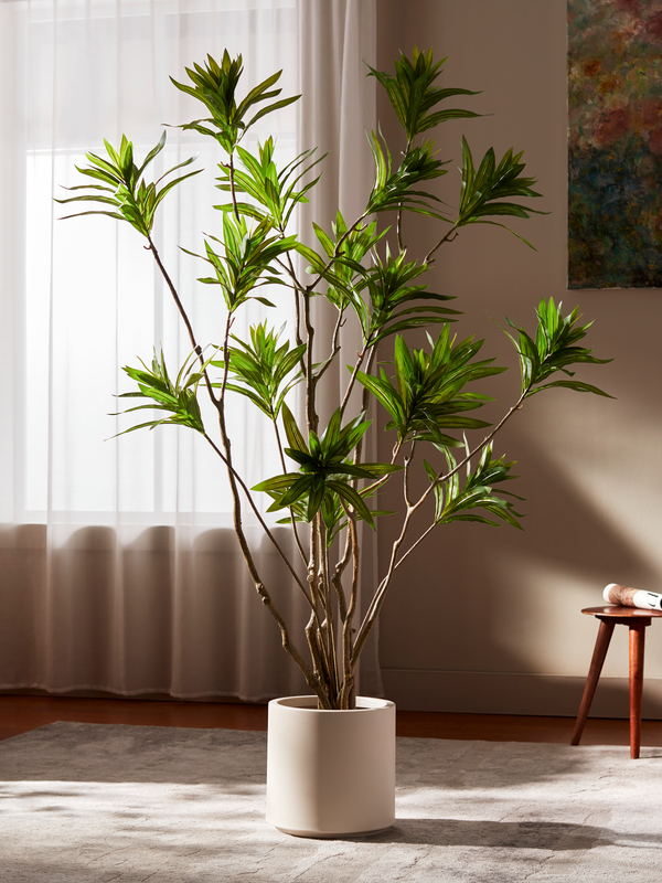 Reflexa Elegance