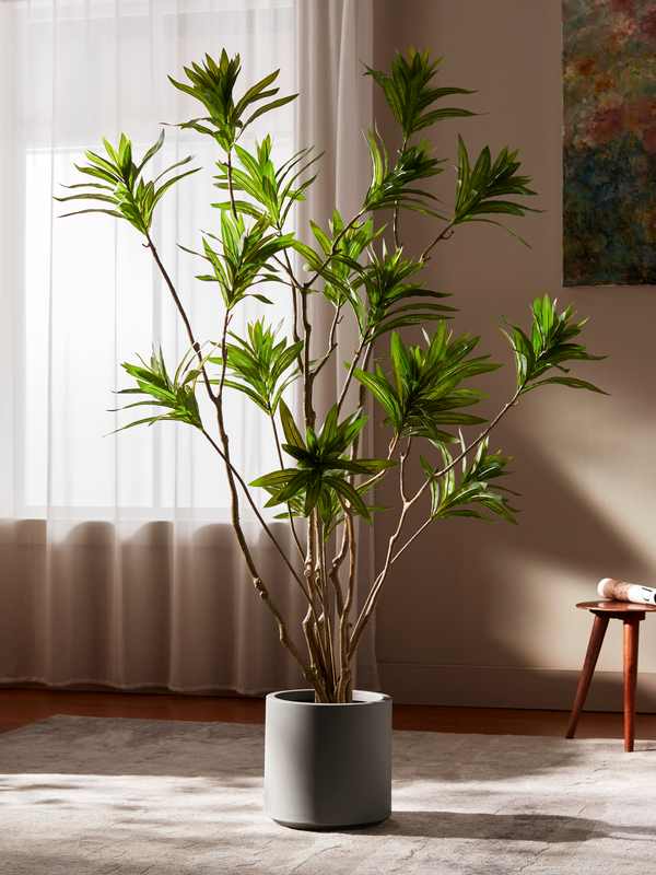 Reflexa Elegance
