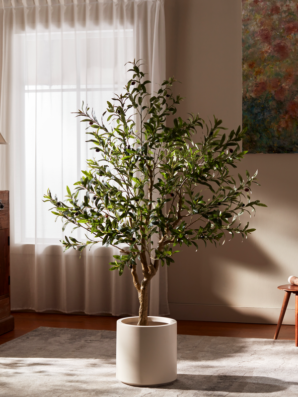 Tuscan Olive