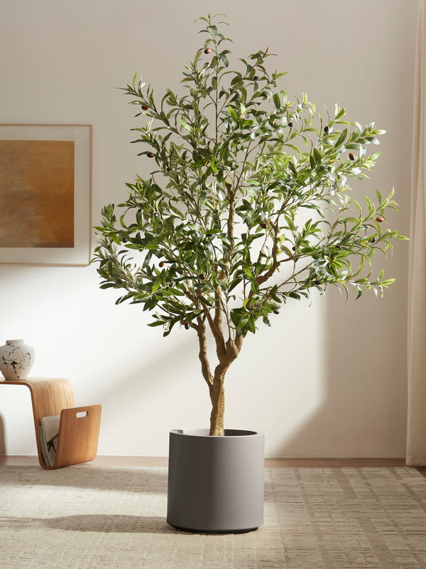 Tuscan Olive