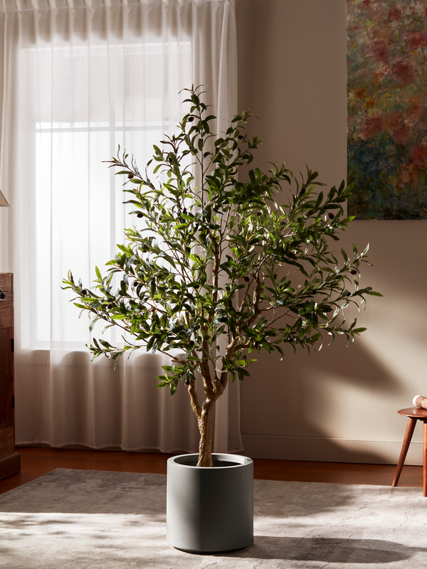 Tuscan Olive