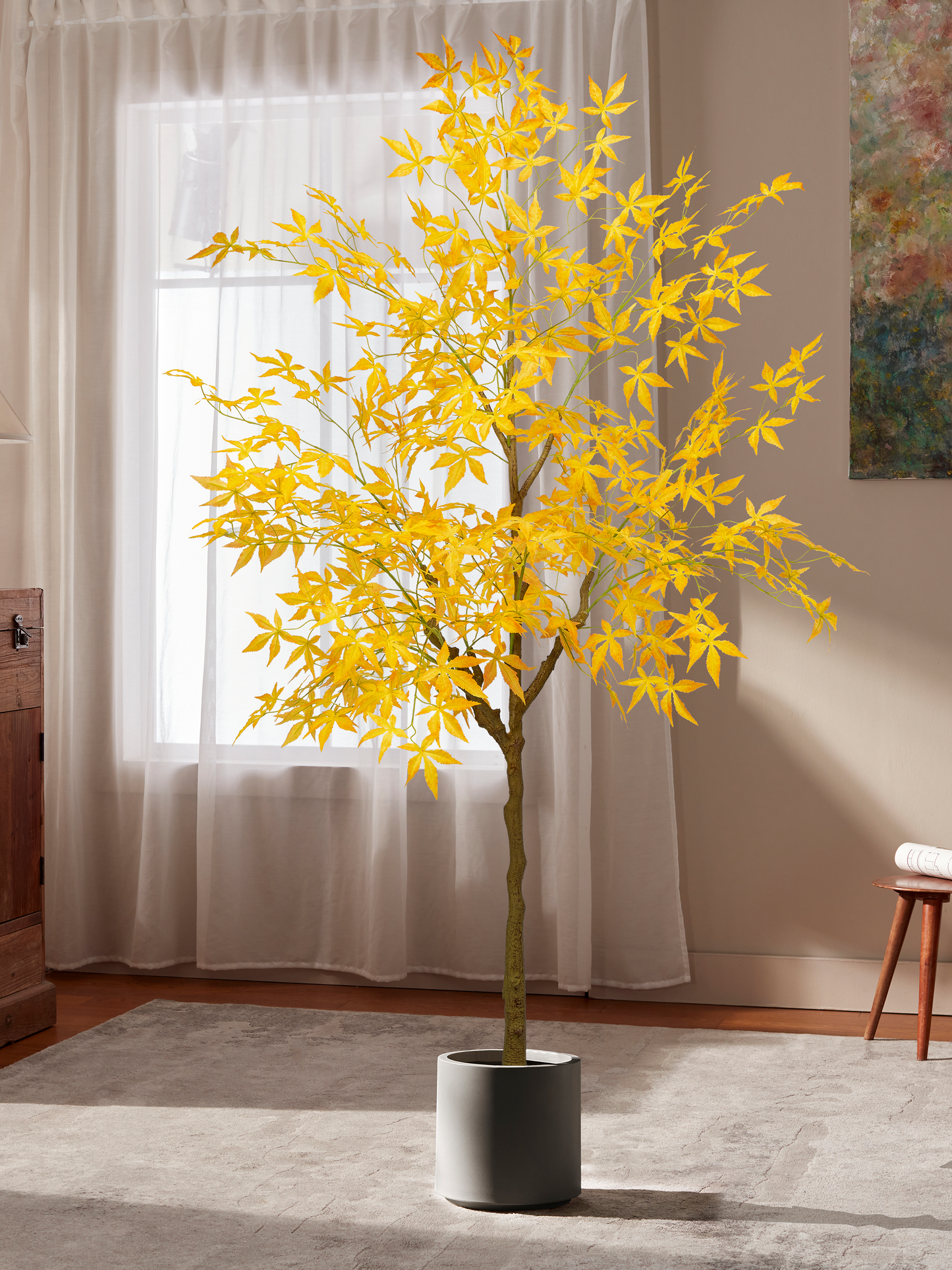 Yellow Heritage Maple