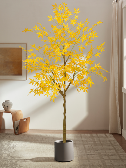Yellow Heritage Maple