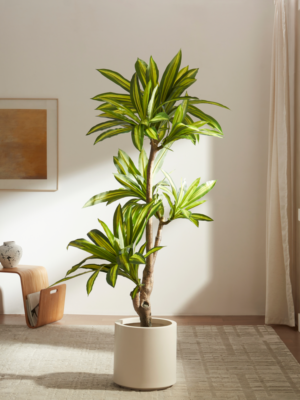 Faux Tree Roots Shop Faux Trees That Look Real | Rootless Plants