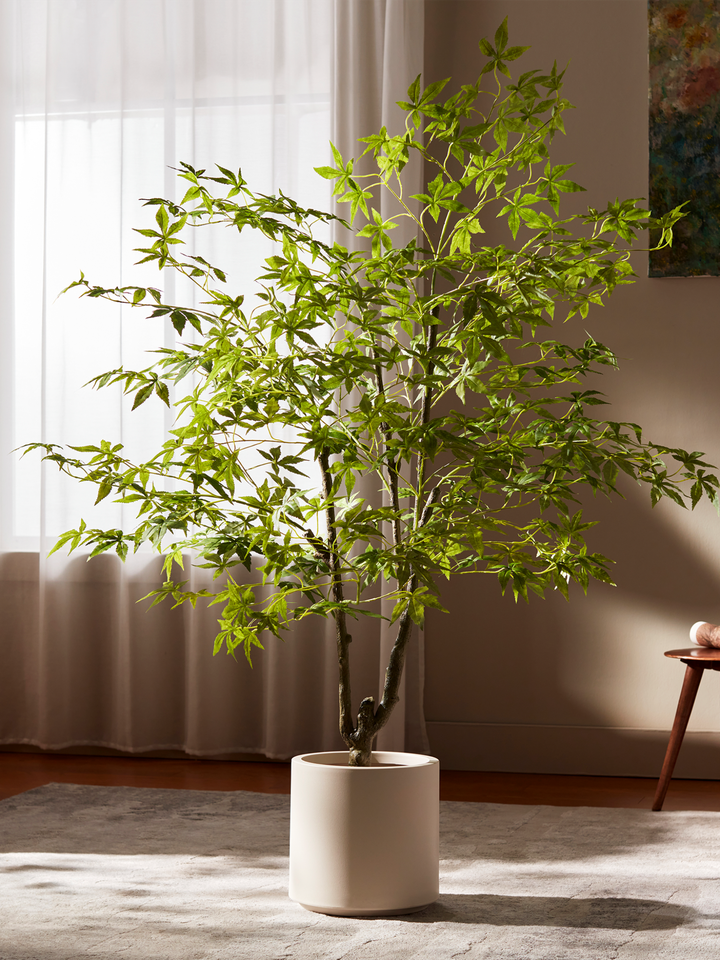 Green Maple - Faux Japanese Maple Tree | Rootless Plants