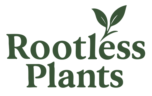 Rootless Plants