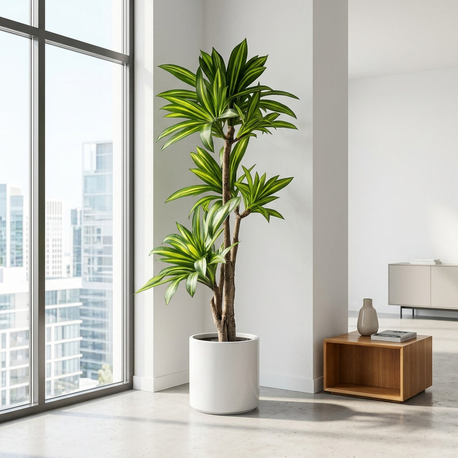 Zero Maintenance — Rootless Plants