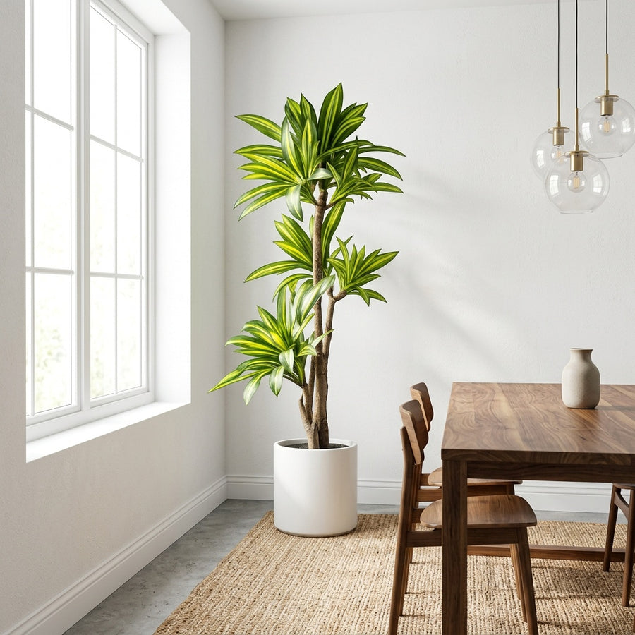 Realism — Rootless Plants