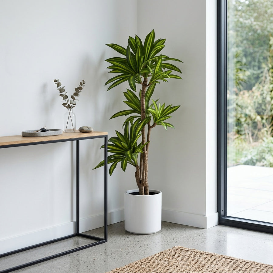 Risk-Free — Rootless Plants