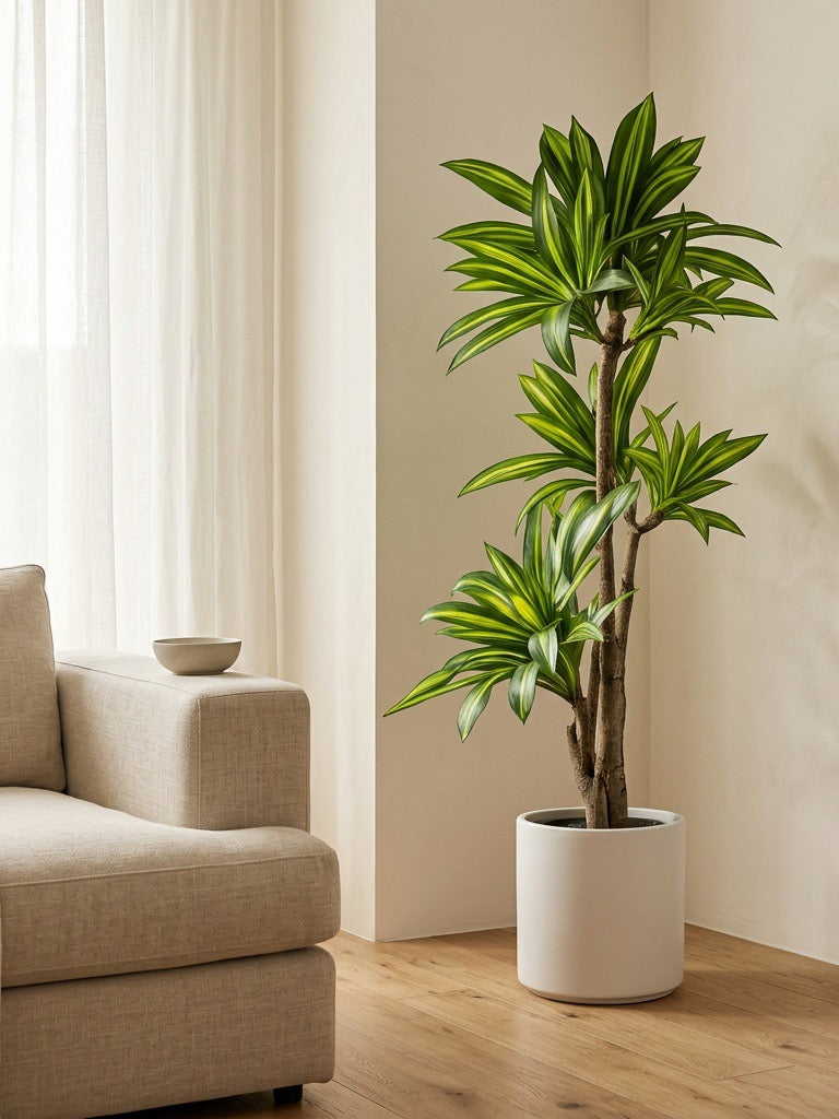 Amazon Ironwood by Rootless Plants