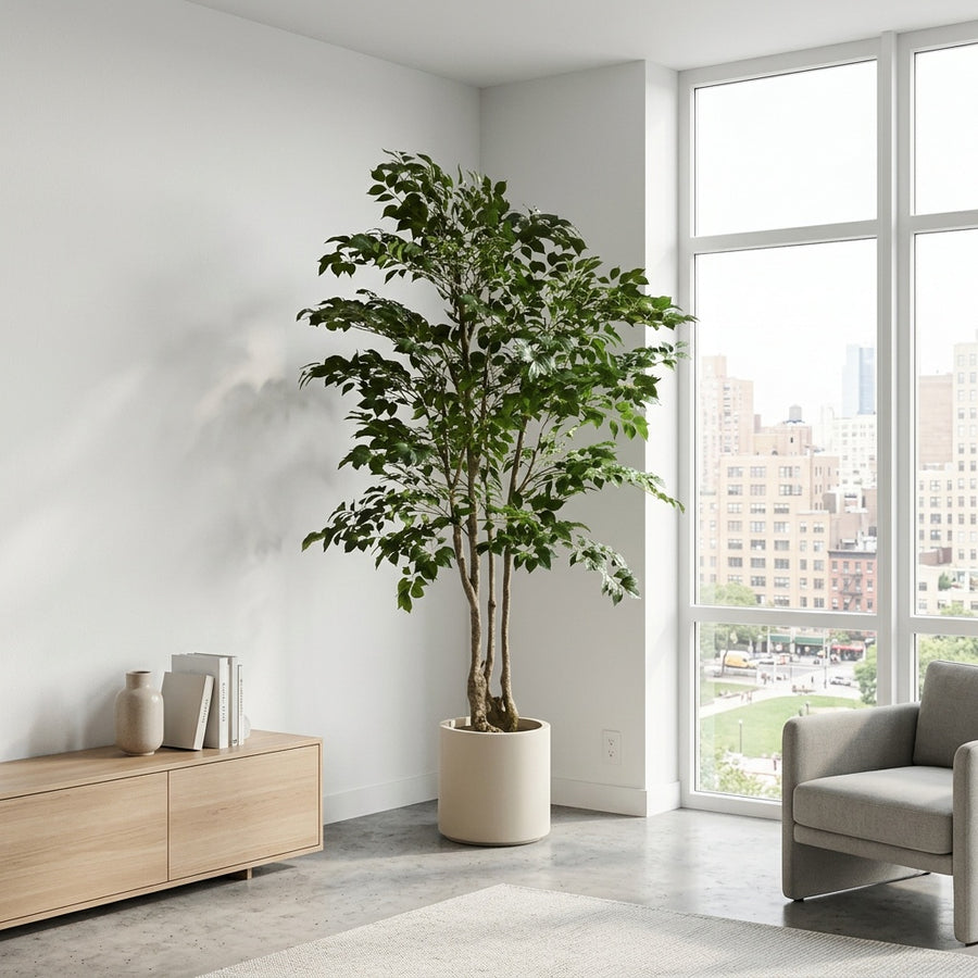 Zero Maintenance — Rootless Plants