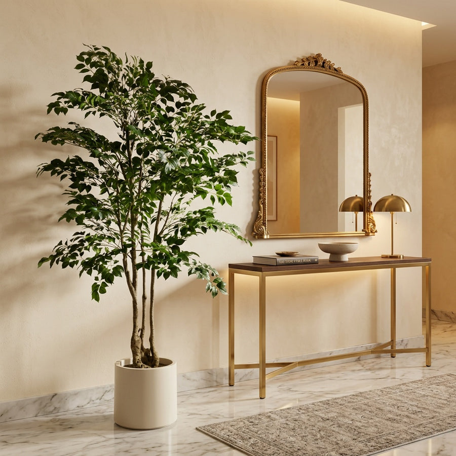 Design Impact — Rootless Plants