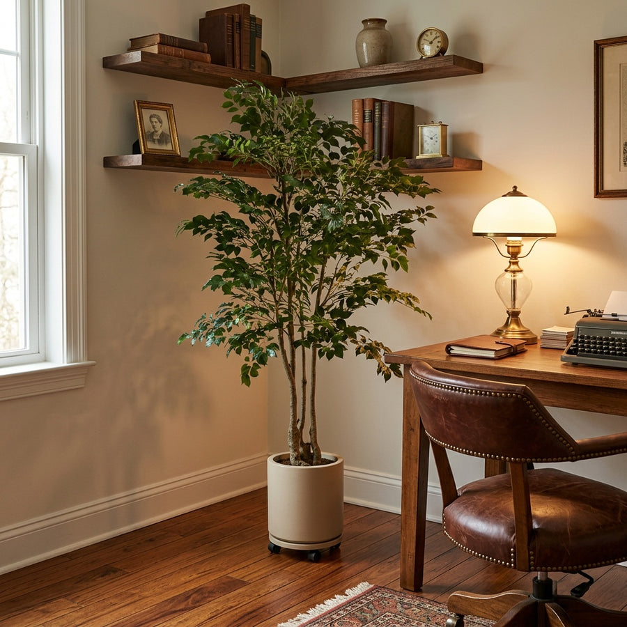 Built to Last — Rootless Plants