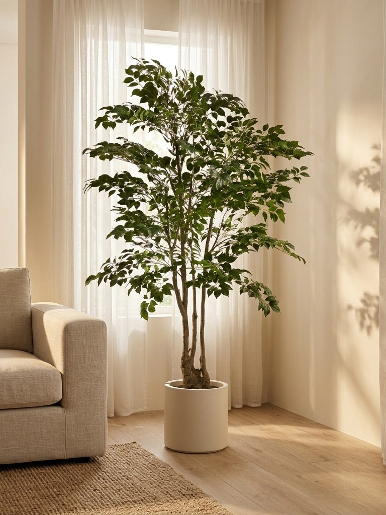 Banyan Estate by Rootless Plants