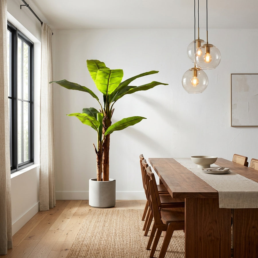 Realism — Rootless Plants