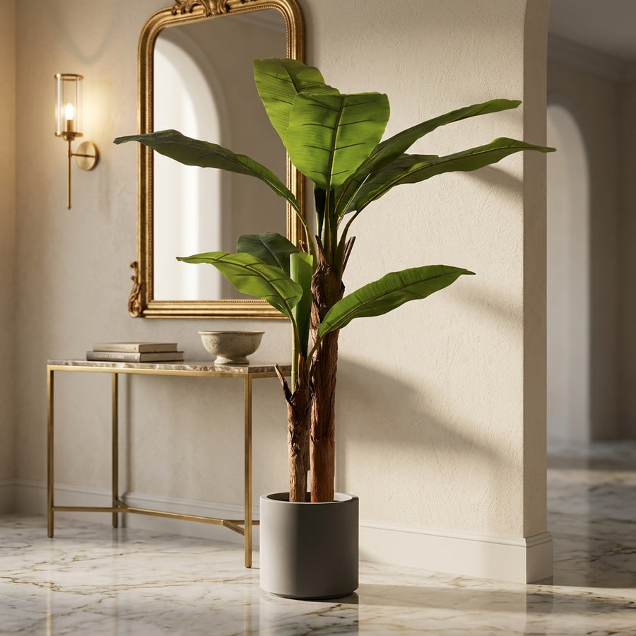Design Impact — Rootless Plants