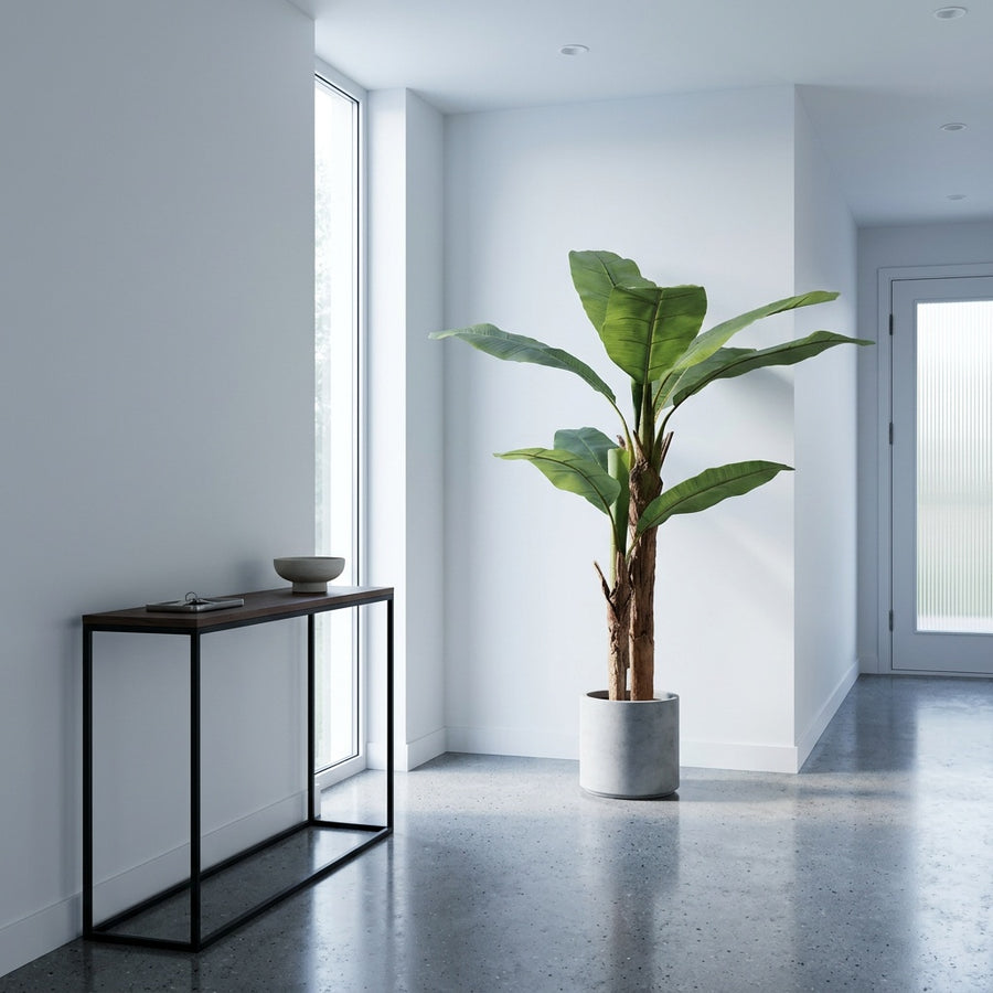 Risk-Free — Rootless Plants
