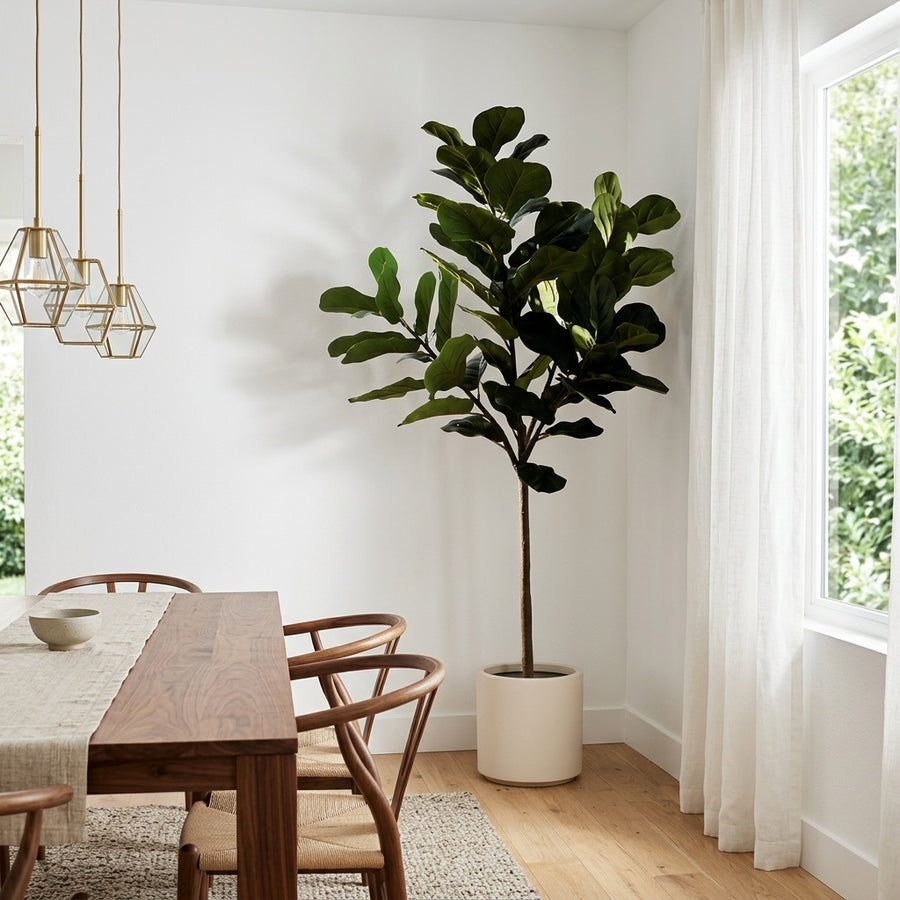 Realism — Rootless Plants