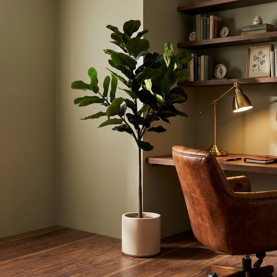 Built to Last — Rootless Plants