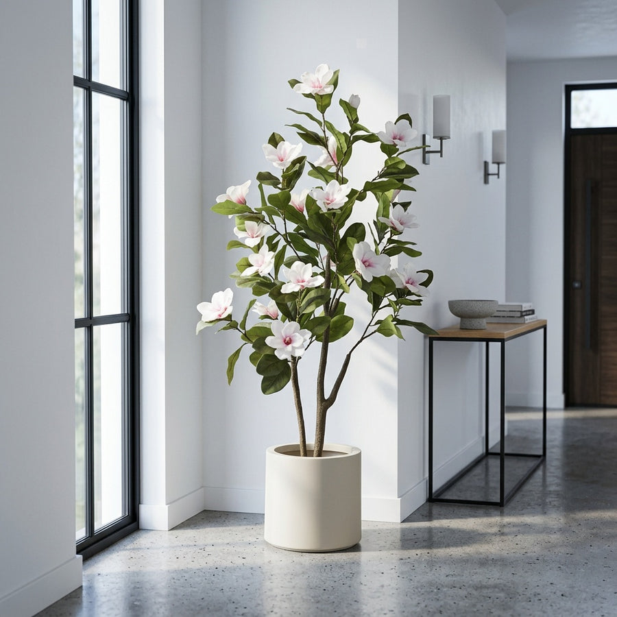 Risk-Free — Rootless Plants