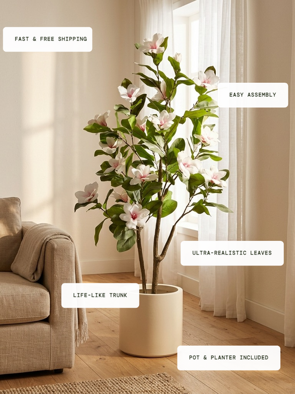 Magnolia Grace