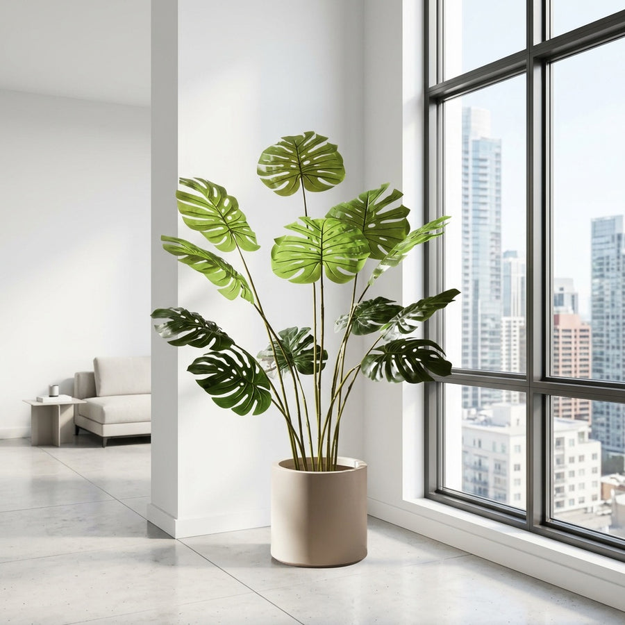 Zero Maintenance — Rootless Plants