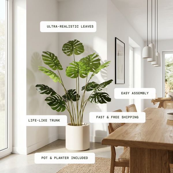 Monstera Statement