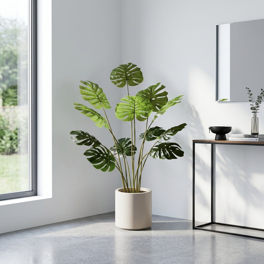 Risk-Free — Rootless Plants