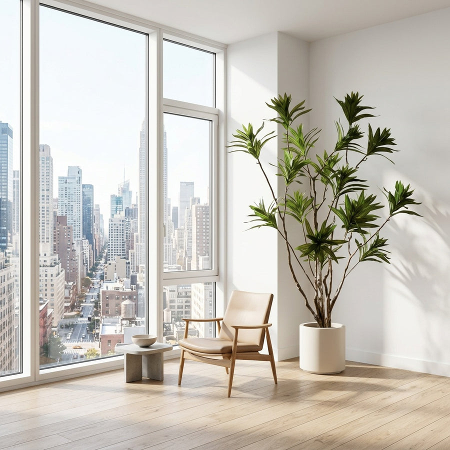 Zero Maintenance — Rootless Plants