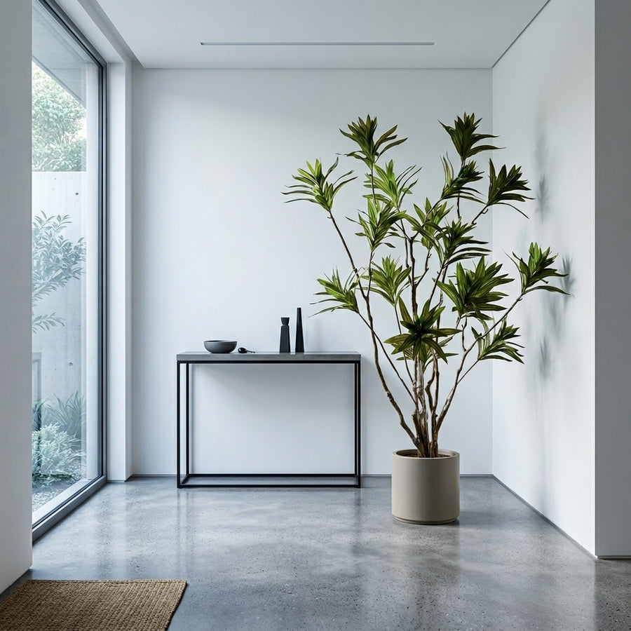 Risk-Free — Rootless Plants