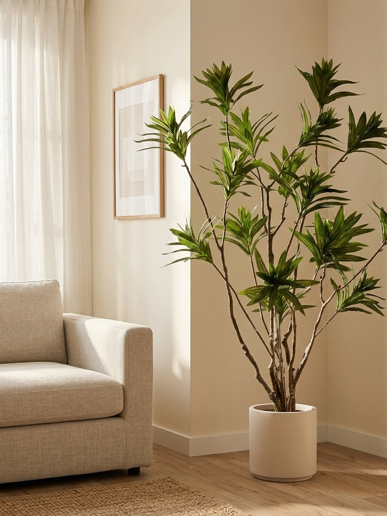 Reflexa Elegance by Rootless Plants