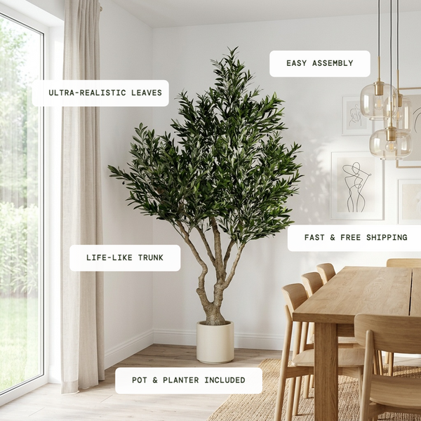 Tuscan Olive Lush