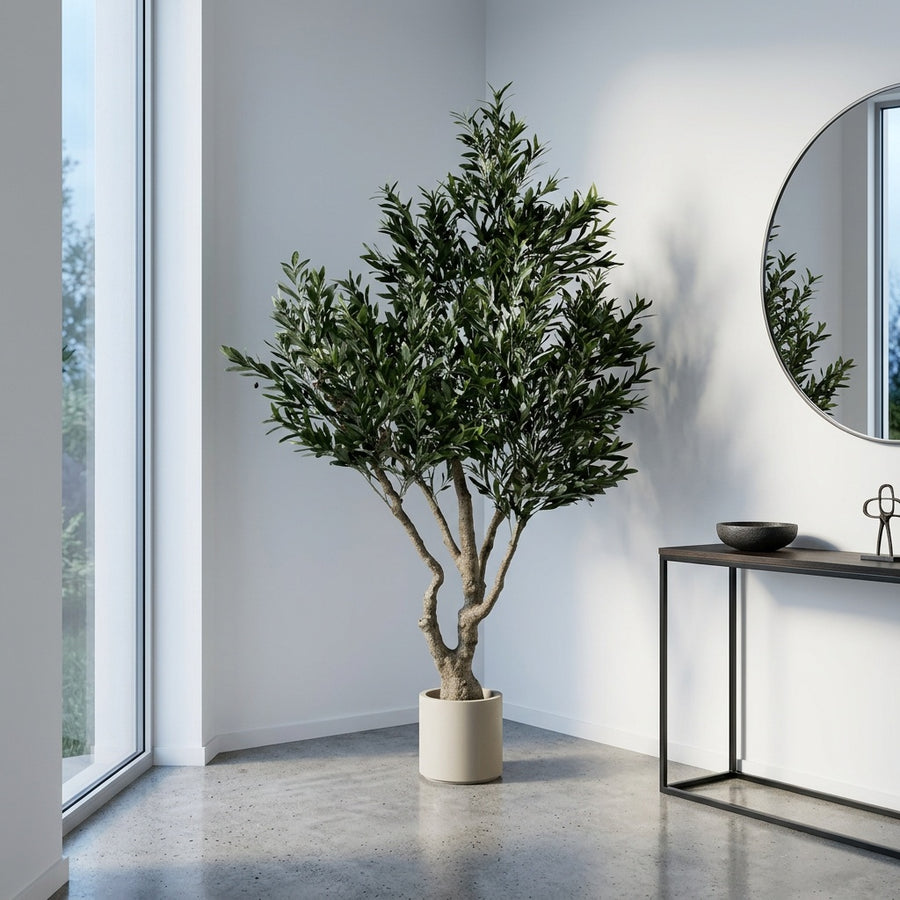 Risk-Free — Rootless Plants