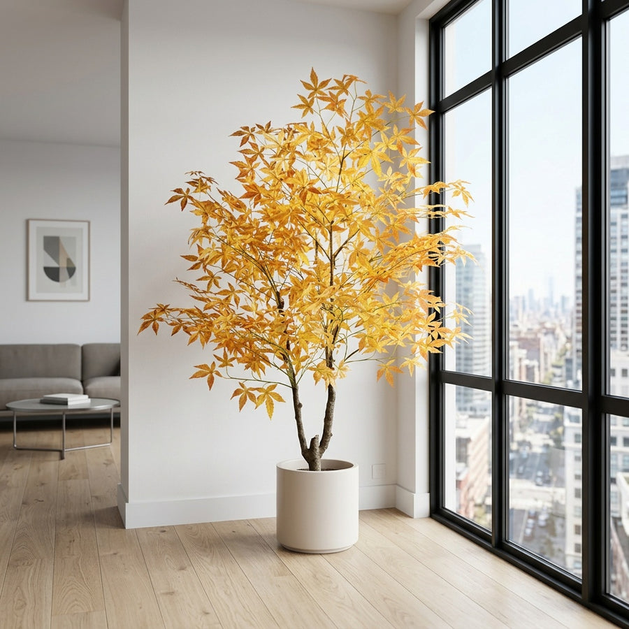 Zero Maintenance — Rootless Plants