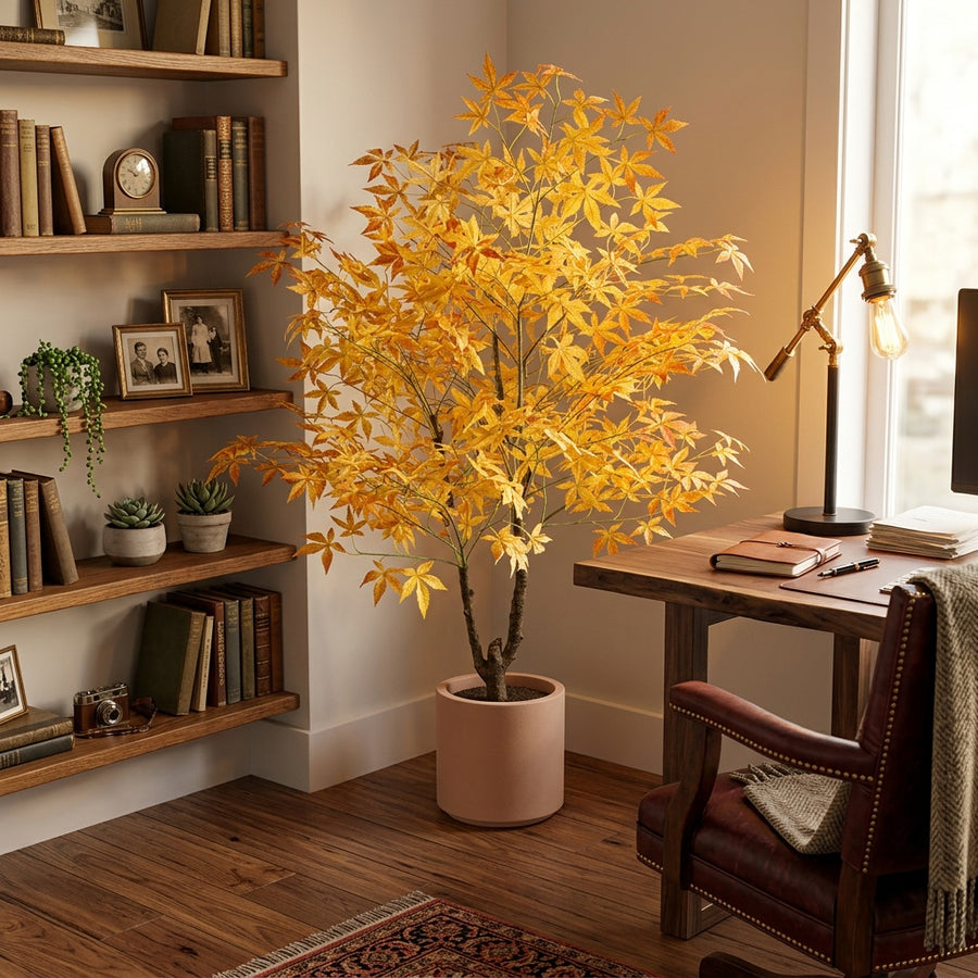 Built to Last — Rootless Plants