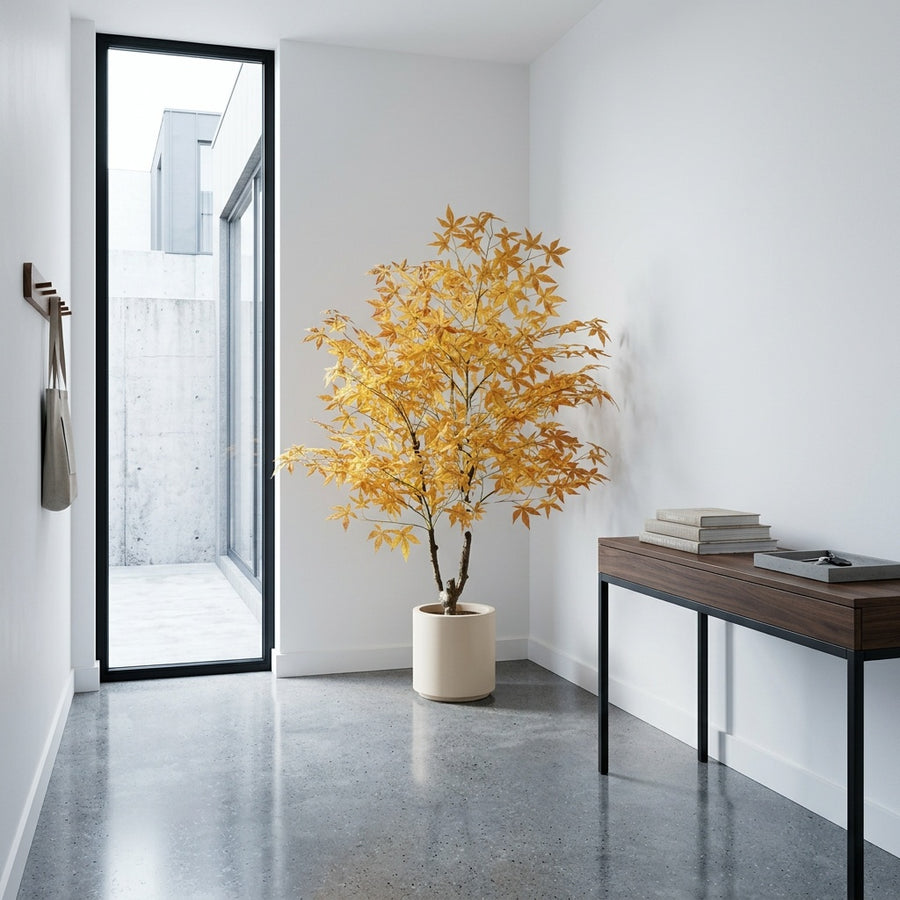Risk-Free — Rootless Plants