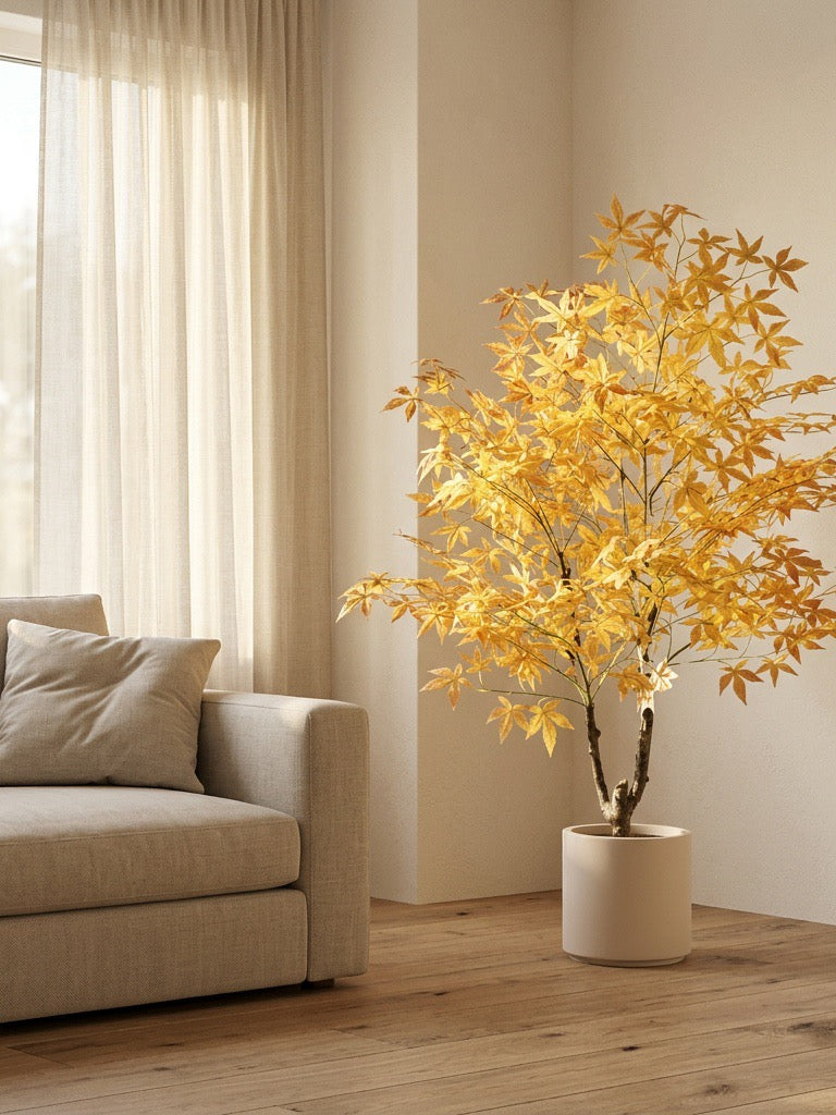 Yellow Heritage Maple by Rootless Plants