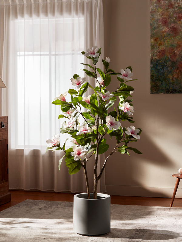 Magnolia Grace