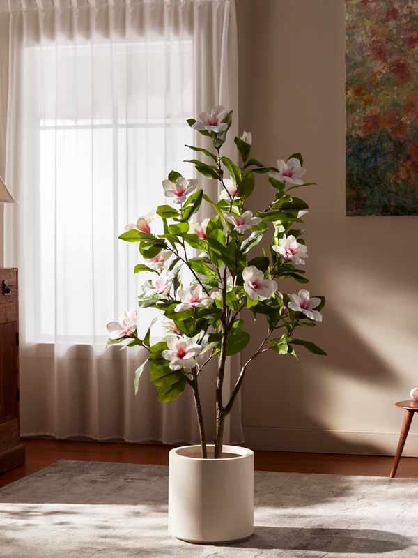 Magnolia Grace