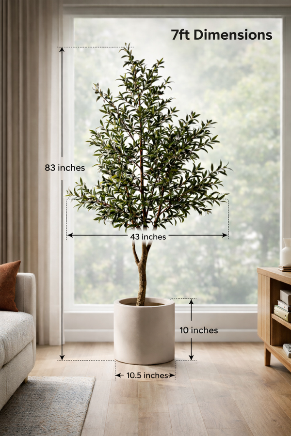 Tuscan Olive
