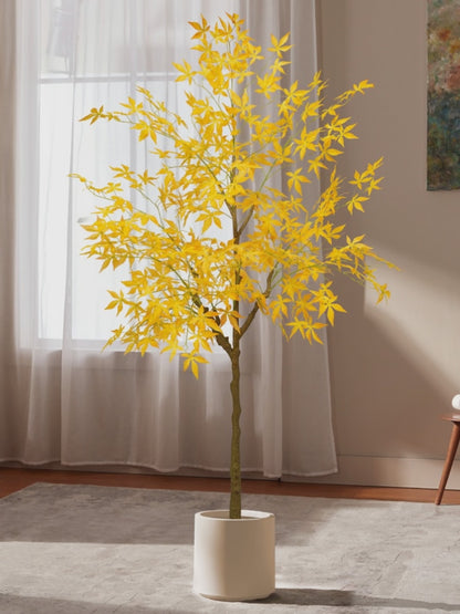 Yellow Heritage Maple
